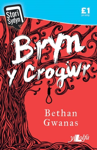 Bryn y Crogwr - Bethan Gwanas - Sydyn